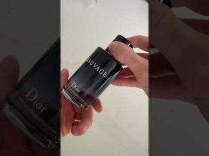 Dior Sauvage Eau de Toilette